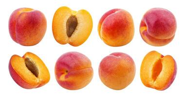 aprikos isolerat. samling av aprikoser isolerat på vit bakgrund foto