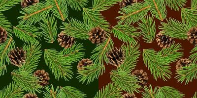 gran träd grenar sömlös mönster, tall gren, jul barrträd bakgrund foto