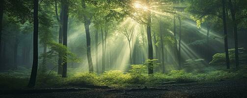 grön skog träd med Sol stråle bakgrund, generativ ai foto