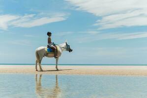 Tonårs pojke rider en häst på de strand. foto