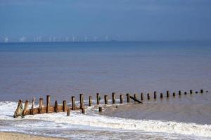 groynes på stranden vid spurn point, east yorkshire, england foto