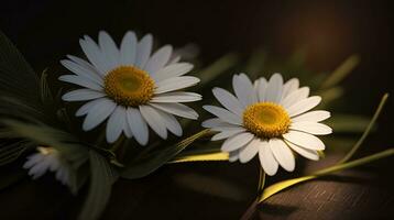 ai generativ skön daisy blomma eller bellis perennis jag, eller kompositer blomning i de parkera under solljus foto