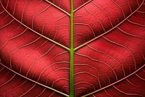 abstrakt röd randig av lövverk från natur, detalj av blad texturerad bakgrund. generativ ai. foto