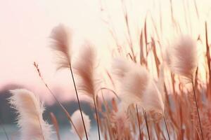 mjuk försiktigt vind gräs blommor i estetisk natur av tidigt morgon- dimmig himmel bakgrund. tyst och lugna bild i minimal zen humör. vår natur i pastell tona. generativ ai. foto