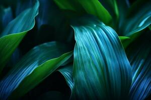 närbild detalj makro textur ljus blå grön lämna tropisk skog växt spathiphyllum cannifolium i mörk natur bakgrundskurva blad blommig botanisk abstrakt skrivbordet tapet. generativ ai. foto