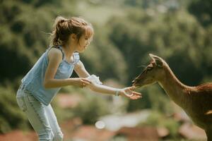 liten flicka bland ren besättning på de solig dag foto