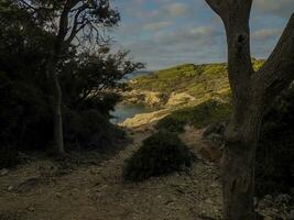 trångare röd strand i porquerolles ö Frankrike panorama landskap foto