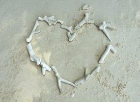 vit bruten död- korall i hjärta form på de strand foto