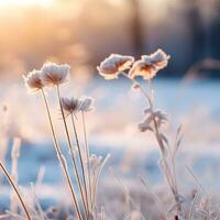 ai genererad skön blomma med vinter- bakgrund. foto