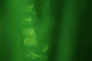 defocused grön bakgrund. makro Foto av en suddig defocused blad med droppar.