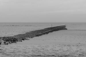 wangerooge ö i Tyskland foto