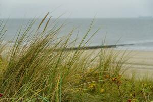 de ö av wangerooge foto