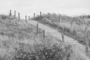 de ö av wangerooge foto