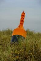 wangerooge ö i Tyskland foto