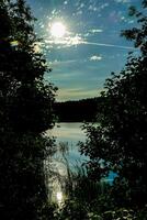 de Sol lyser över en sjö i de skog foto