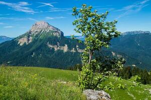 passera av pravouta, helgon pierre de chartreuse,isere,frankrike foto