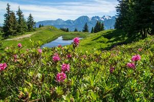 bergig av belledone,isere,frankrike foto