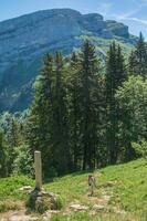 passera av pravouta, helgon pierre de chartreuse,isere,frankrike foto