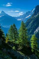 vallorcine, haute savoie, frankrike foto