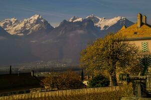 yvorne, i vaud, schweizisk foto