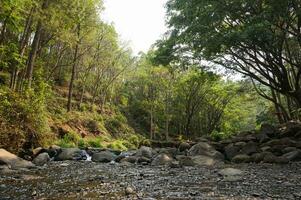 flod ström vattenfall i skog landskap på bedengan camping jord malang, indonesien foto