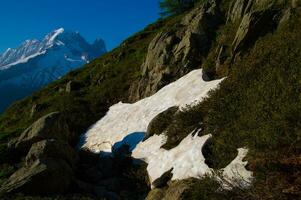 cheeries, i argentiere,chamonix,haute savoie, frankrike foto