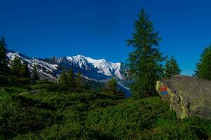 pecleret,arge,tiere, chamonix, haute savoie, frankrike foto