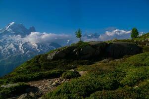 cheeries, i argentiere,chamonix,haute savoie, frankrike foto