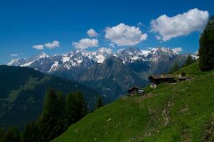 commeire i orsieres ,valais, schweiziska foto