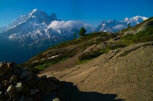 cheeries, i argentiere,chamonix,haute savoie, frankrike foto