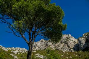 nationell parkera calanques foto