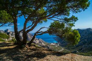 nationell parkera calanques foto