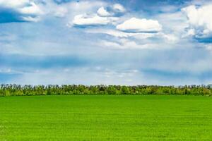 skön horisont landskap i by äng på Färg naturlig bakgrund foto