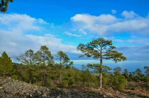 en klippig kulle med träd och en blå himmel foto