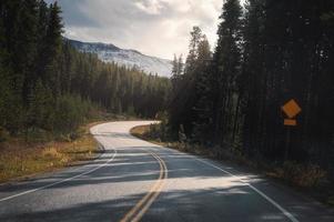 roadtrip på motorväg med solljus genom i skogen vid banff nationalpark foto