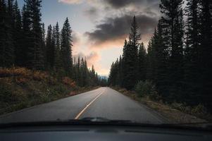 bilresa bil kör på motorväg i tallskog på kvällen i Banff National Park foto