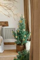 mysigt interiör dekorerad för jul i scandinavian stil. leva gran träd dekorerad med naturlig ornament tillverkad av torkades apelsiner foto
