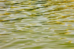 grön vatten med små krusningar foto