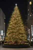 jul träd i tokyo med skön natt ljus. foto