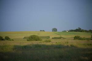 sommar landskap polen foto