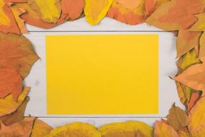 höst löv ram och gul papper på vit trä- bakgrund foto