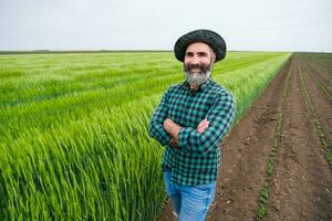 Lycklig jordbrukare är stående bredvid hans växande vete fält foto