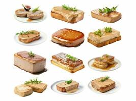 ai genererad foie gras samling isolerat på vit bakgrund foto