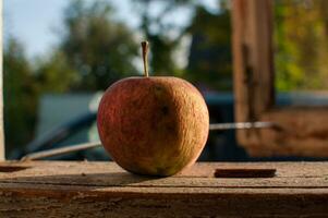 rynkig äpple under de höst solsken foto