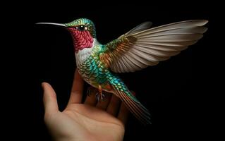 ai generativ kolibri naturlig djur- illustration fotografi foto