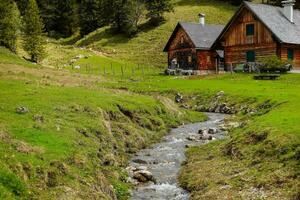 liten bäck med klar vatten på en äng med två alpina hyddor foto