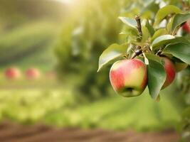 äpple vitamin och hälsa frukt. enkel bild med eco produkt. generativ ai foto