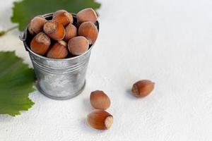 hasselnötter på en ljus bakgrund med gröna blad foto