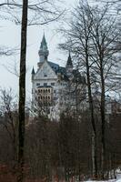 neuschwanstein slott se från de skog foto