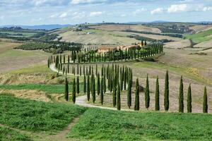känd tuscany landskap med böjd väg och cypress, Italien, Europa. lantlig odla, cypress träd, grön fält, solljus och moln. foto
